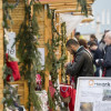 Zellerauer Weihnachtsmarkt 2018_Impression 02_web.jpg