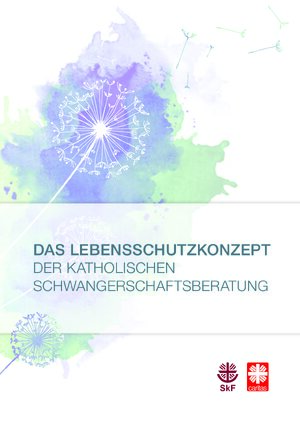 PDF Vorschau LEBENSSCHUTZKONZEPT IN DER KSB (2017)